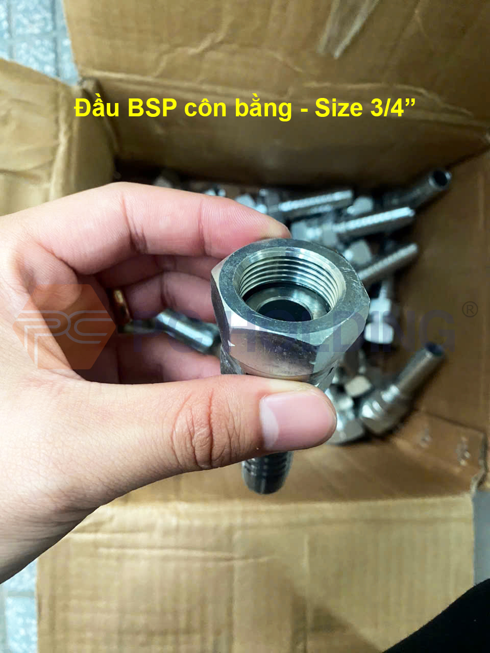 Nơi cung cấp sỉ lẻ Đầu bấm BSP côn bằng